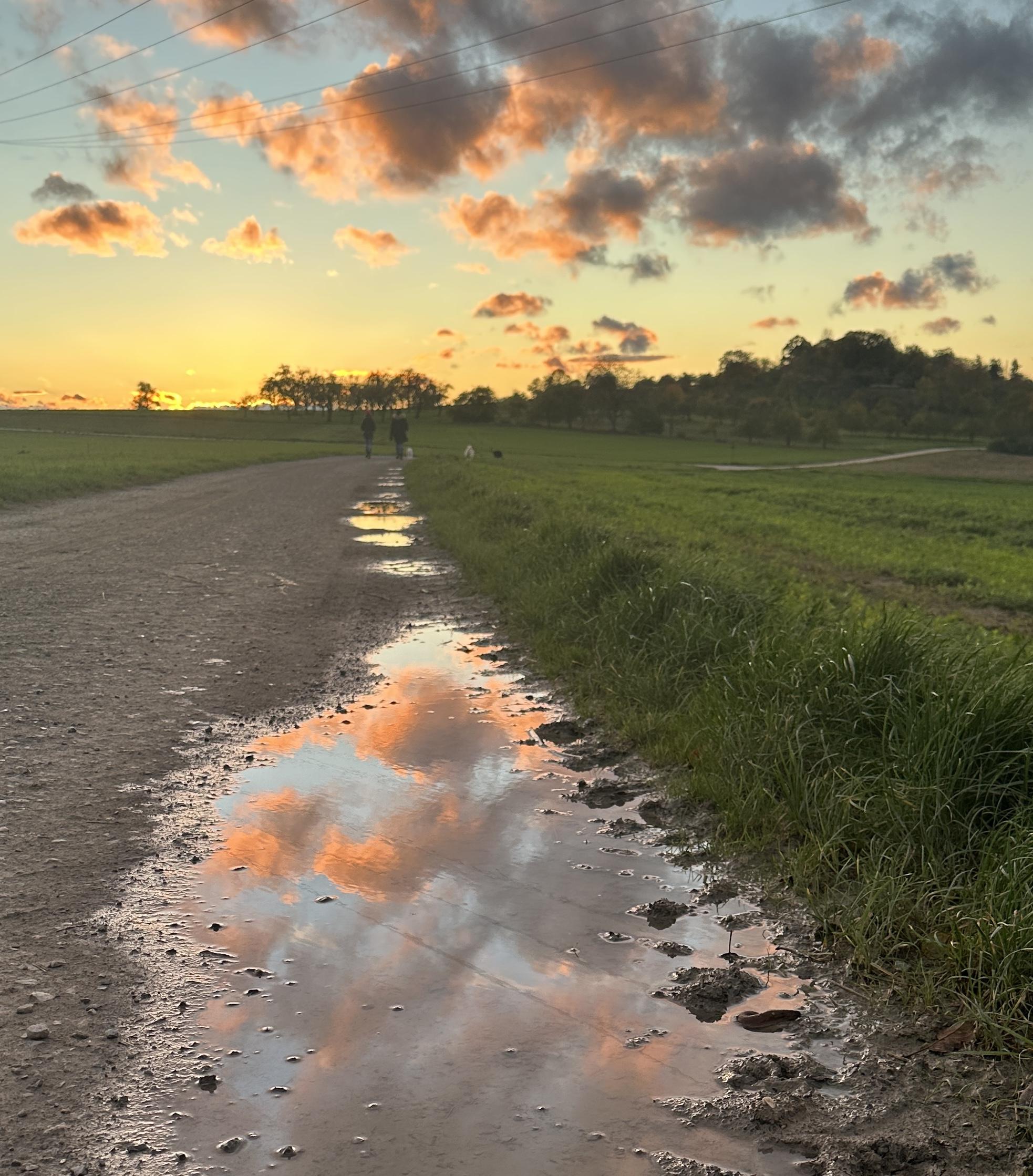 Platz 3: Ulrike Beck – „Herbstspaziergang in Nellmersbach“, Feldweg bei Nellmers-bach, sich in einer Pfütze spiegelnde Wolken Wolken, die sich in Pfützen spiegeln