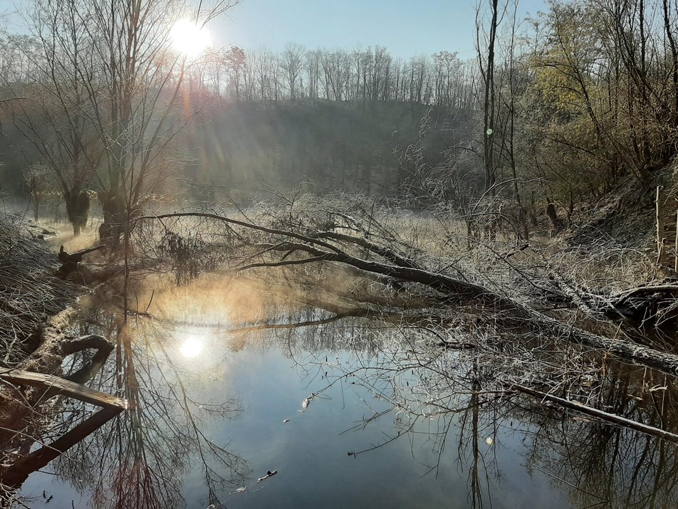 Steinbruch bei Frost