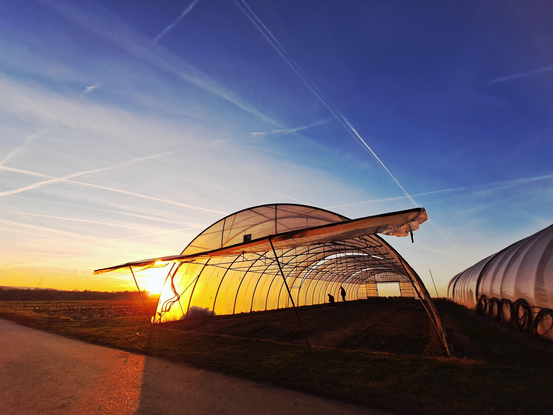 Gewächshaus im Sonnenuntergang