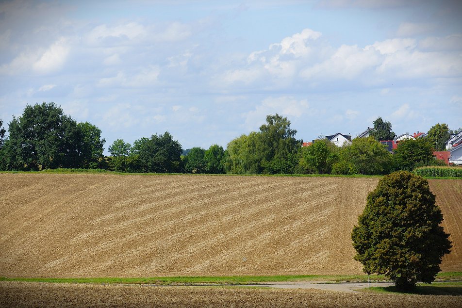 Feld  mit diagonalem Muster