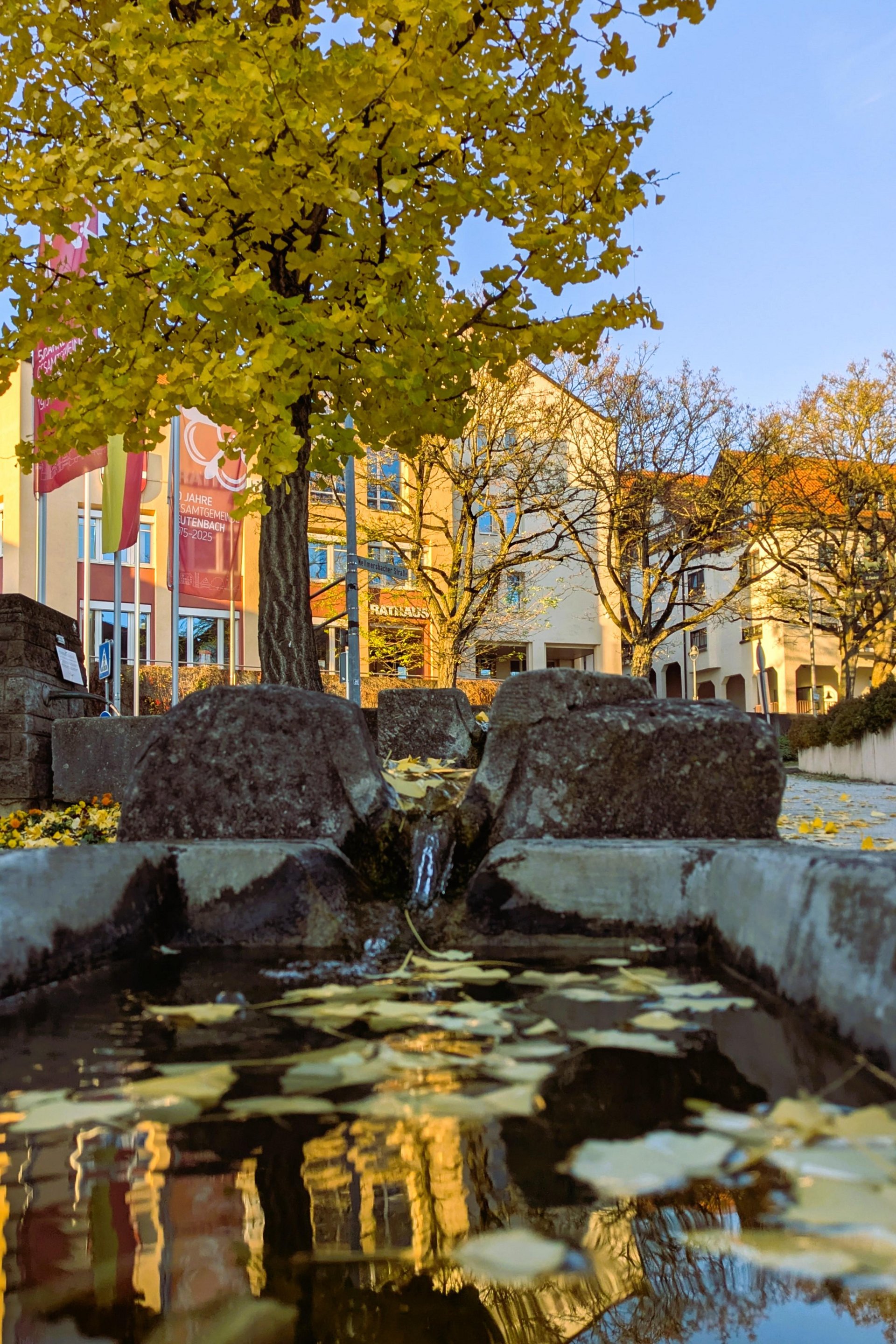 Brunnen am Löwenplatz
